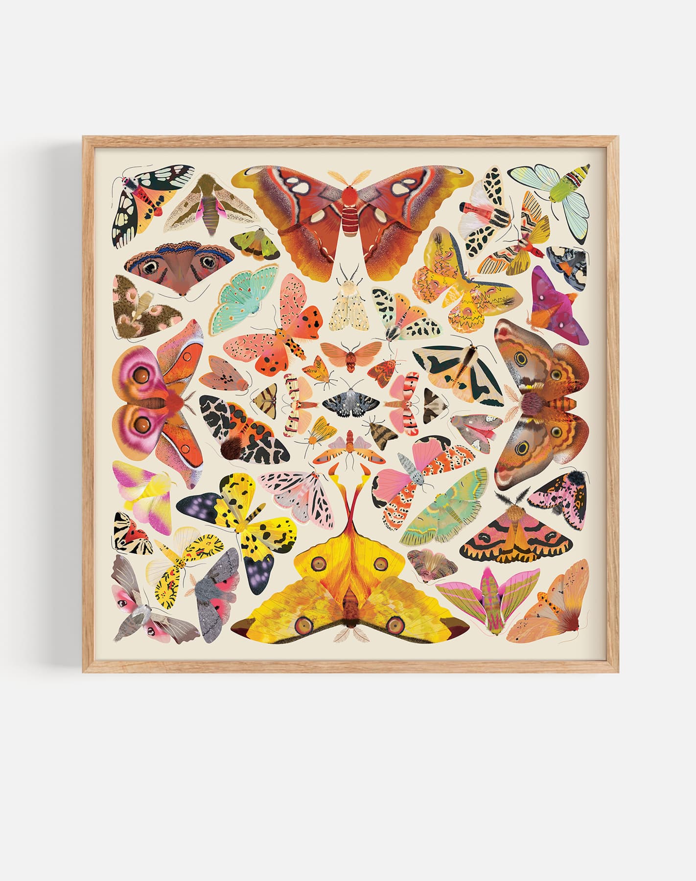 Kaleido Moths | Art Print
