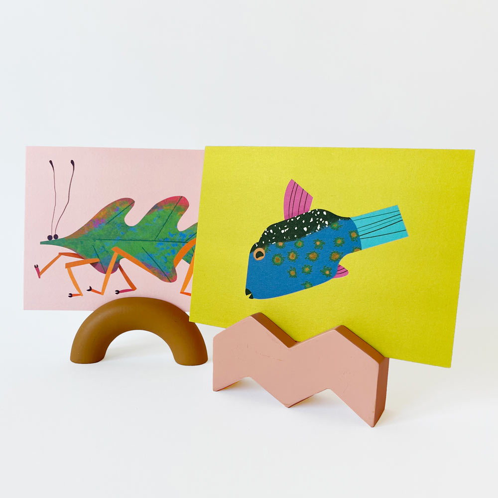 Boxfish | Postcard