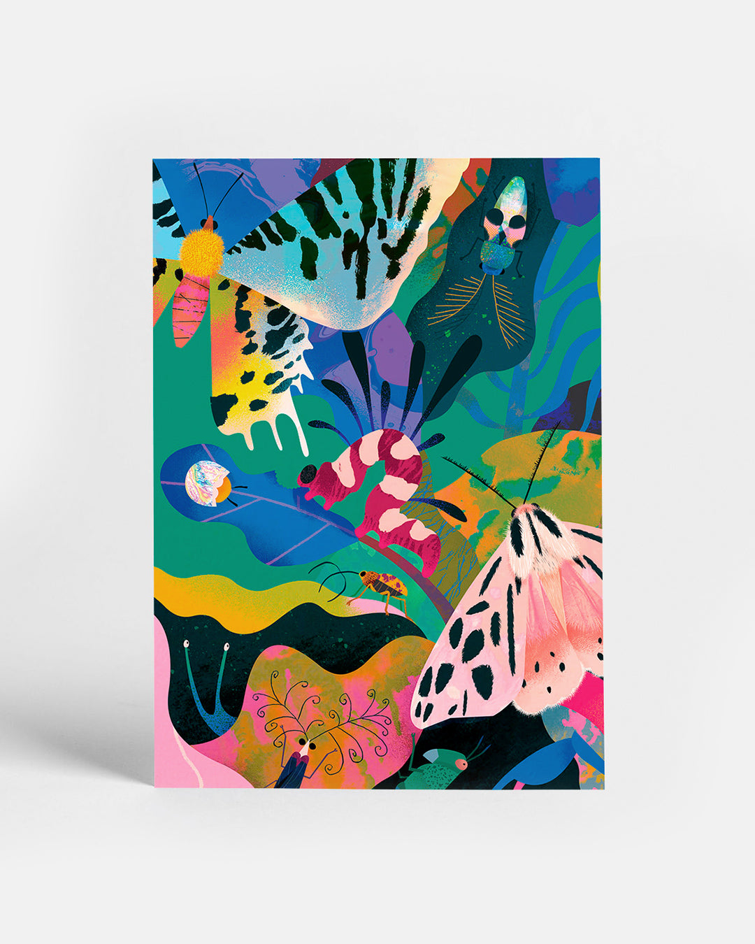 Bugs | Postcard
