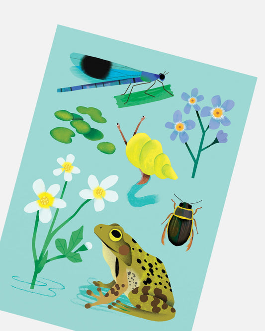 Pondlife | XL Postcard