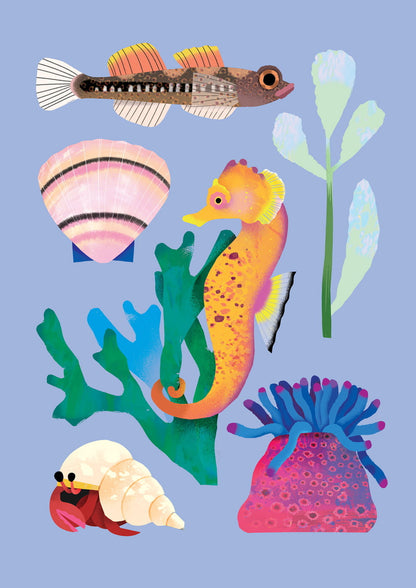 Seashore | XL Postcard