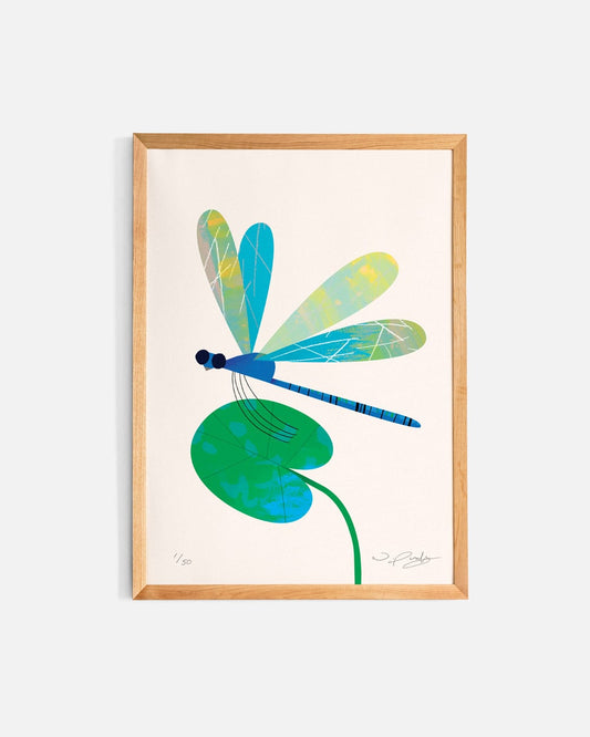 Dragonfly | A4 Art Print