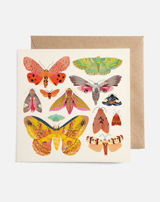Moth Collection | Card
