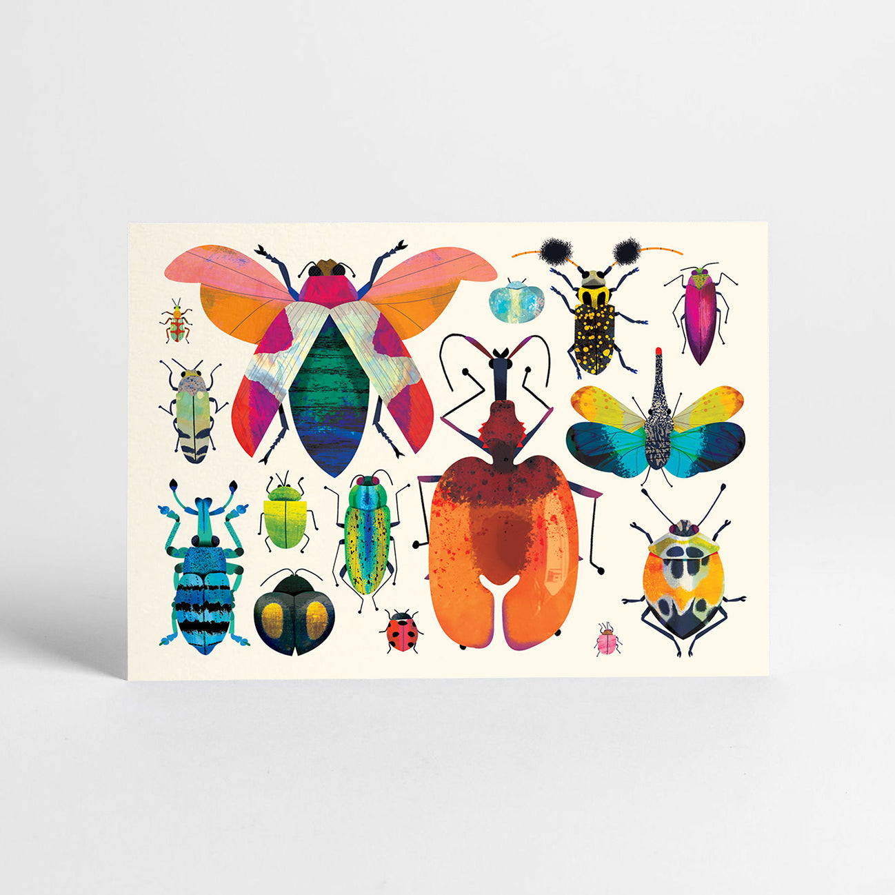 20 Postcards | Boxed Set