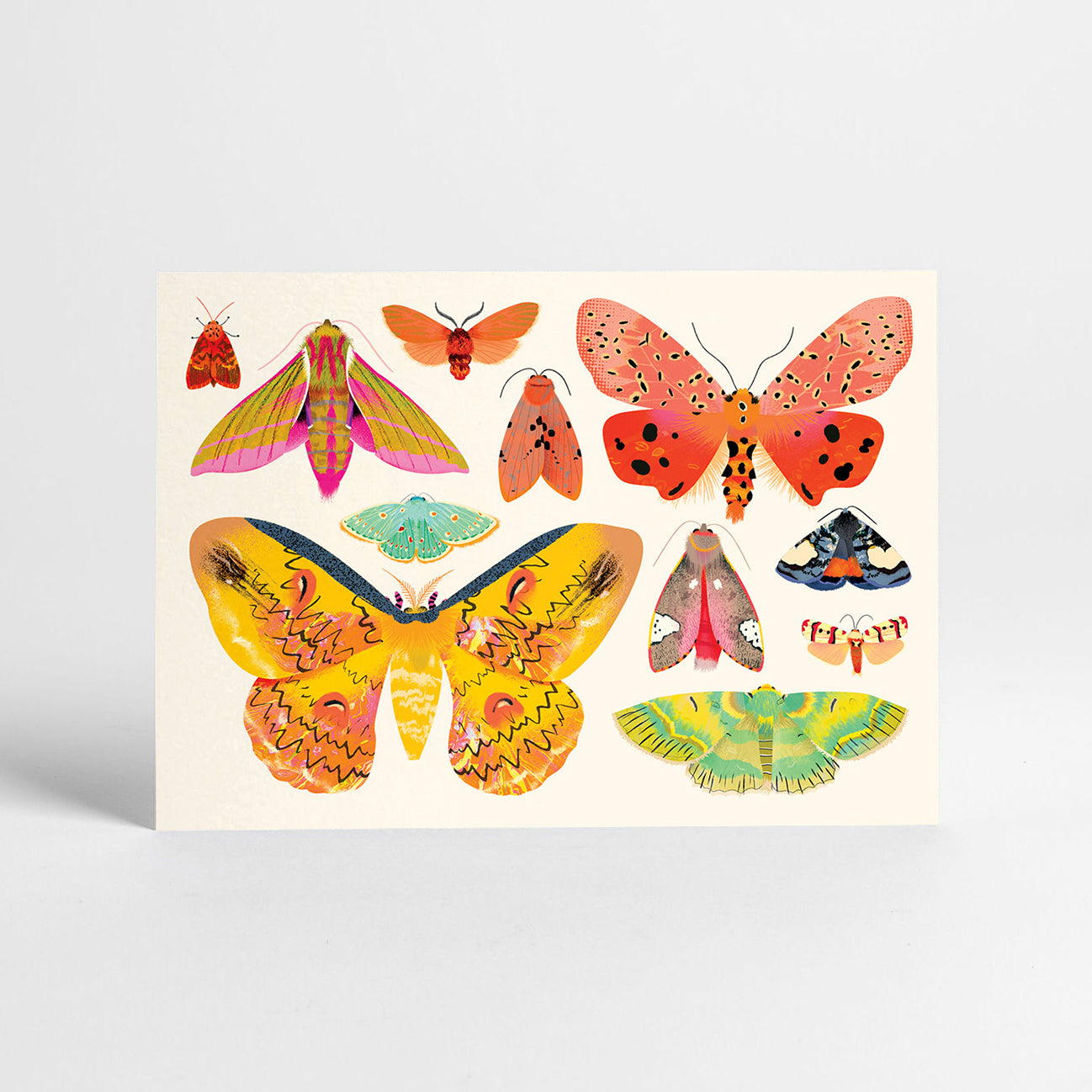 20 Postcards | Boxed Set